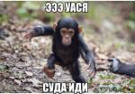 Аватар для RuslaN BLR