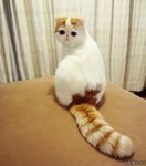 Аватар для XBOCT