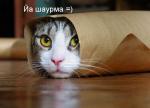 Аватар для Sunwe11