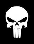 Аватар для punisher_lnpk