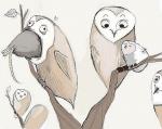 Аватар для owl.