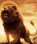Аватар для AslaN