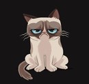 Аватар для SlimhazerD