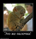 Аватар для MR Fallen